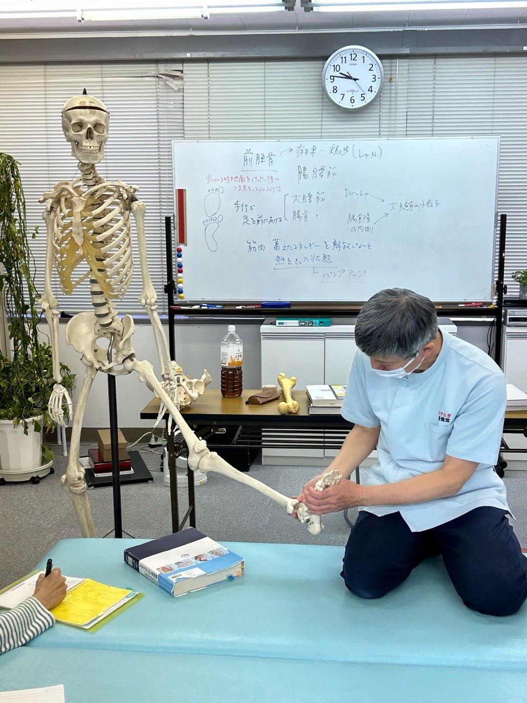 キネシオロジーテープを使ったアプローチや円背の施術法を学ぶ✏️姿形操縦法⑷