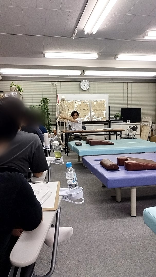 ♦︎12種体型を“相関”で見る