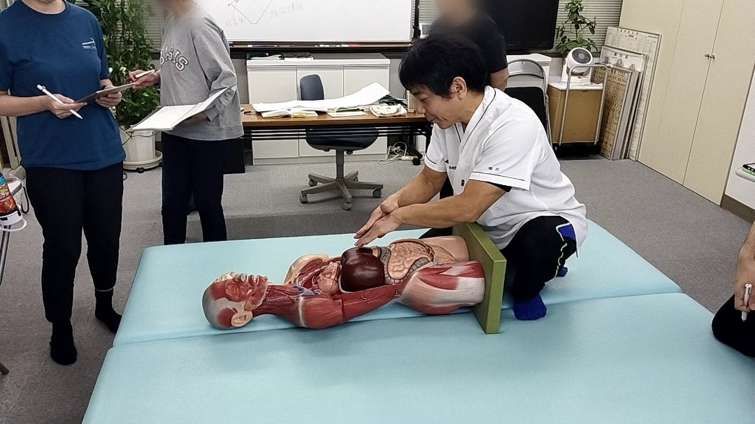 ♦︎観歪法による胃の調整、交感・副交感神経バランスの整え方