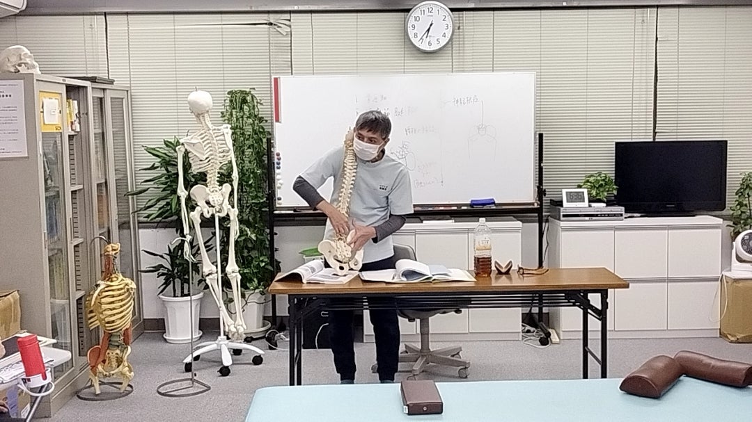 ■脊髄のX点を使った調整法　上肢帯　下肢の姿形