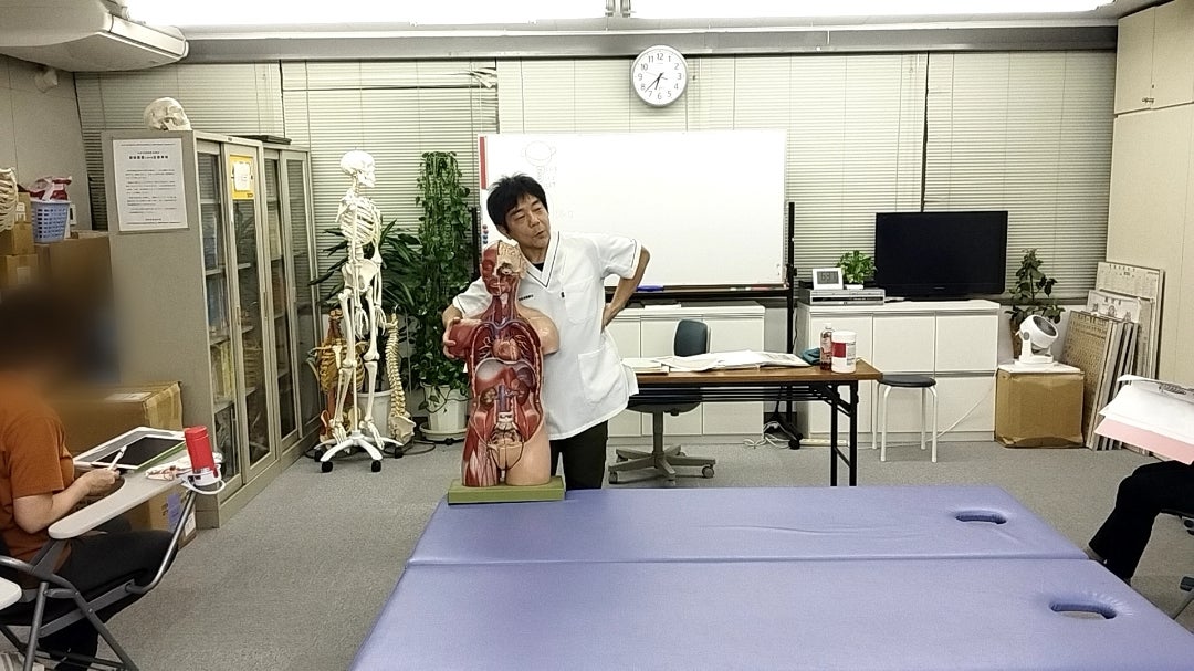 ■脾臓調整　潜んだ不調を見抜く要