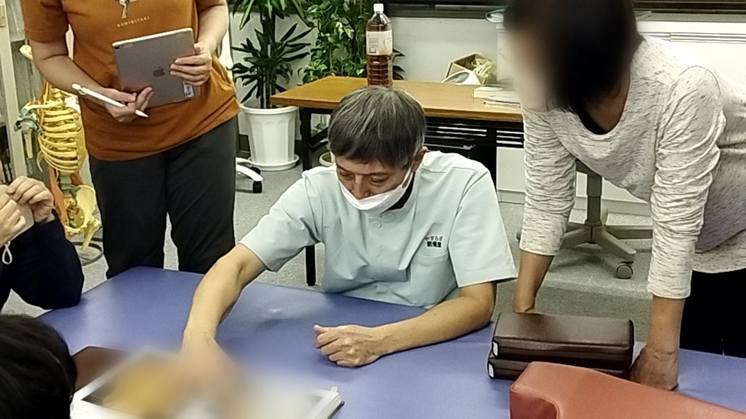 ■頭の姿形とやさしい均整　